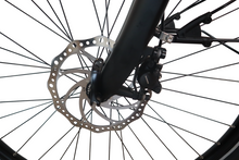 Lade das Bild in den Galerie-Viewer, Detailansicht Speichen und Scheibenbremsen